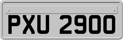 PXU2900