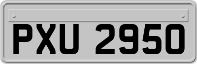 PXU2950