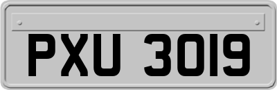 PXU3019