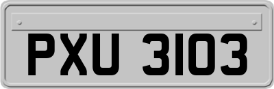 PXU3103