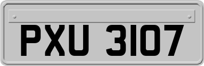 PXU3107