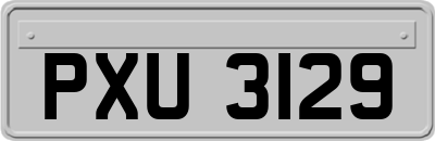 PXU3129