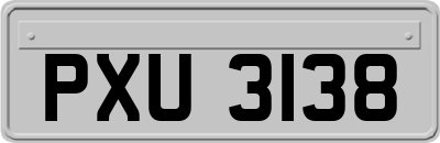 PXU3138