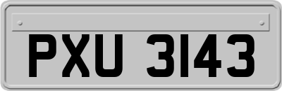 PXU3143