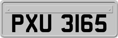 PXU3165