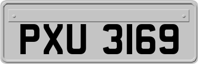 PXU3169