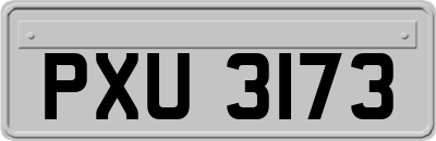 PXU3173