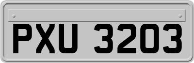 PXU3203