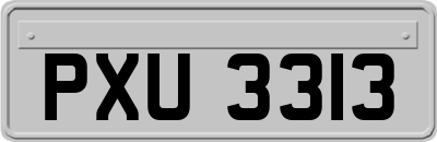 PXU3313