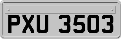 PXU3503