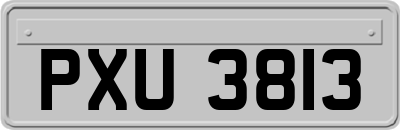 PXU3813