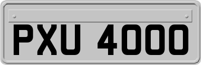 PXU4000