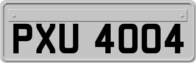 PXU4004