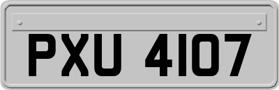 PXU4107