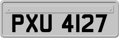 PXU4127