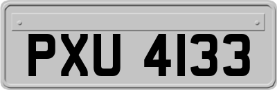 PXU4133