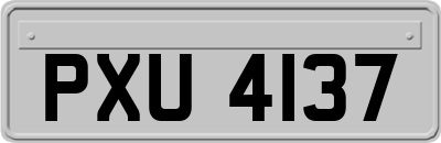 PXU4137