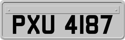 PXU4187