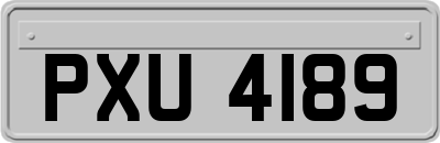 PXU4189