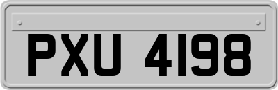 PXU4198