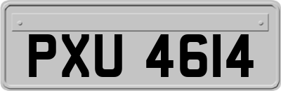 PXU4614