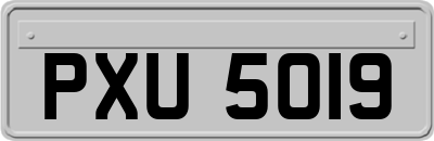 PXU5019