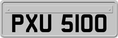 PXU5100