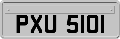 PXU5101