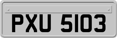 PXU5103