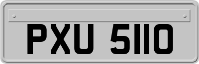 PXU5110