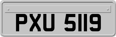 PXU5119