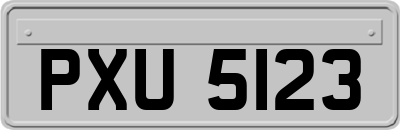 PXU5123