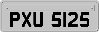 PXU5125