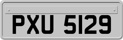 PXU5129