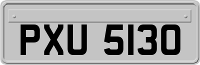 PXU5130