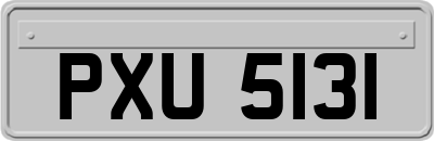 PXU5131