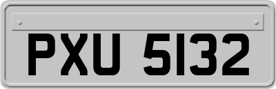 PXU5132