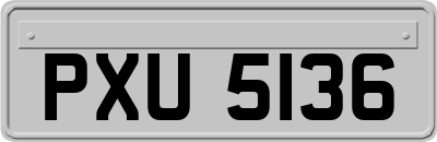 PXU5136