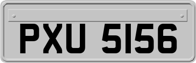 PXU5156