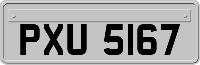 PXU5167