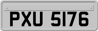 PXU5176