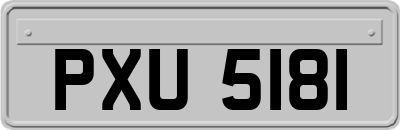 PXU5181