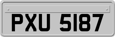 PXU5187