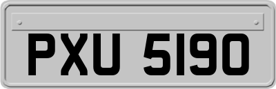 PXU5190