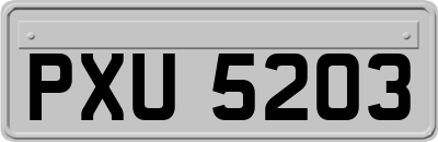 PXU5203