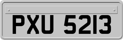 PXU5213