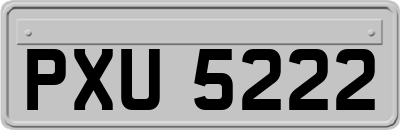 PXU5222