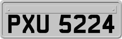 PXU5224