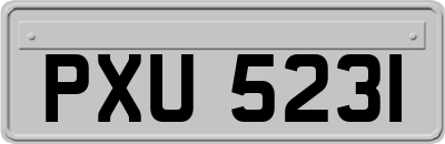 PXU5231