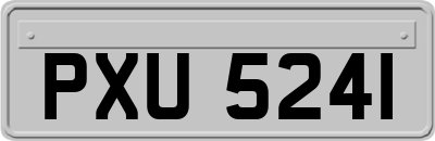 PXU5241